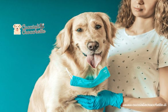 cani e covid-19: basta allarmismi