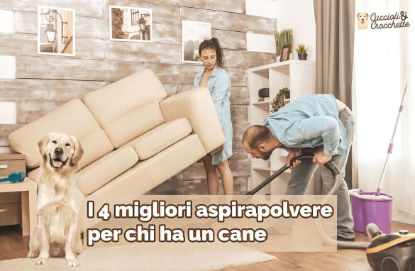 migliori aspirapolvere per chi ha un cane in casa