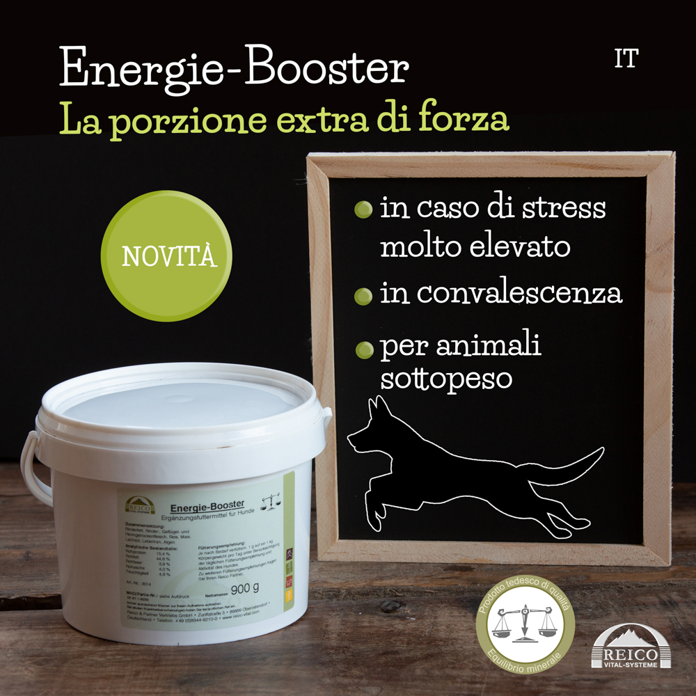 energie-booster-reico