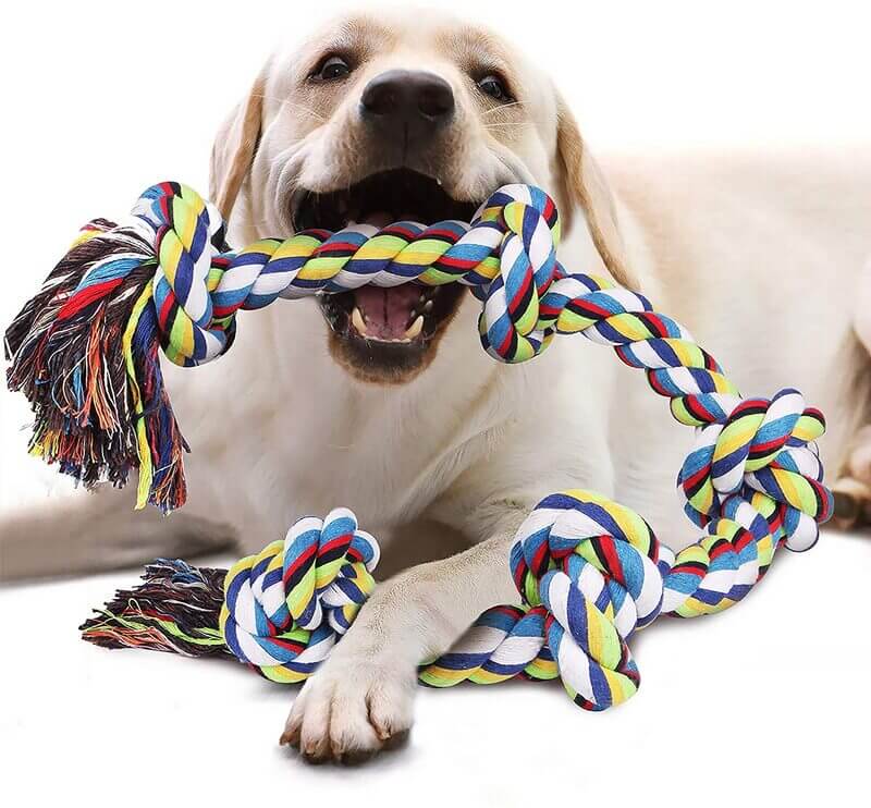 corda per cani resistente