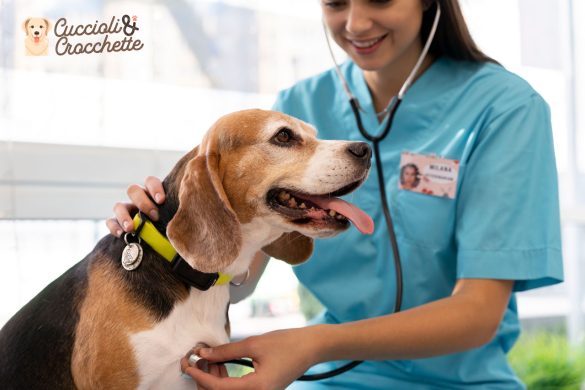 Assicurazione cane per spese veterinarie e non solo