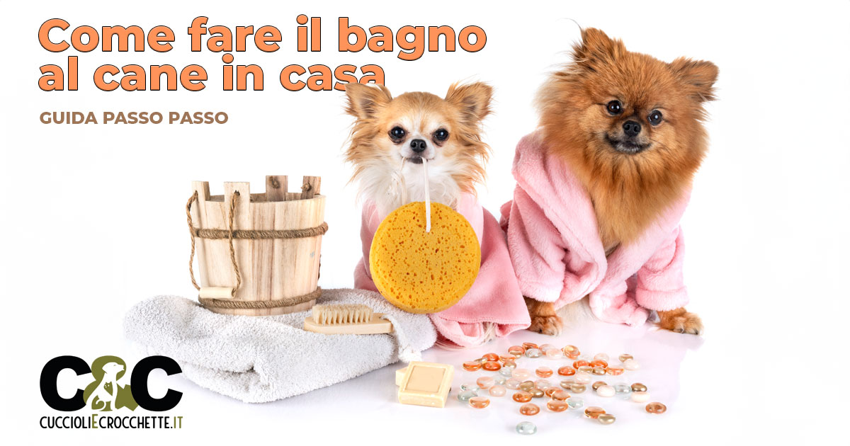 come fare vomitare il cane
