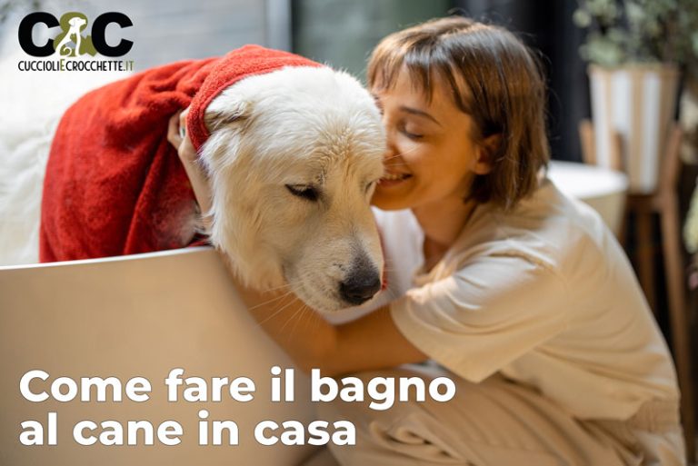 Come fare il bagno al cane in casa: guida passo passo | Cuccioli e ...