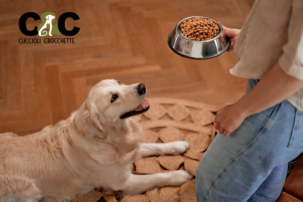 Crocchette Reico per cani adulti: l’eccellenza nella ciotola del tuo amico a quattro zampe