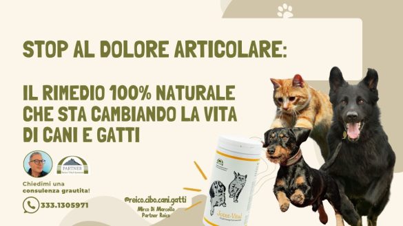 joint Vital integratore articolazioni cani