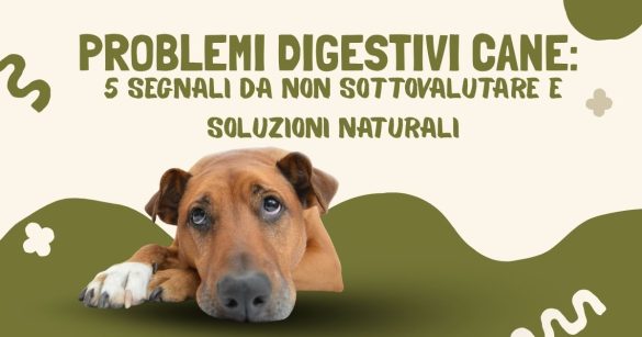 problemi digestivi cane