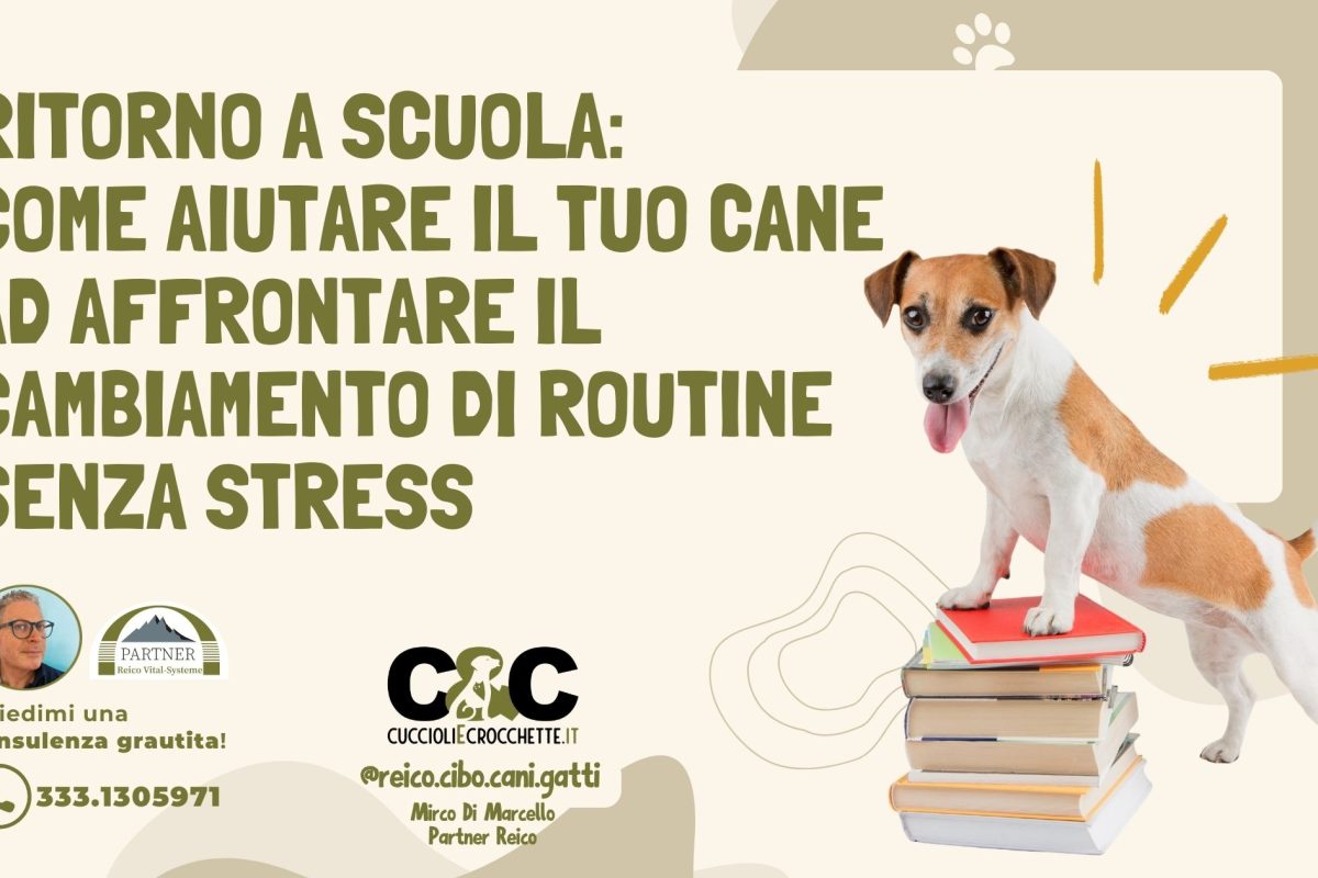 Festa di fine anno: cornici per la foto ricordo (scuola dell'infanzia