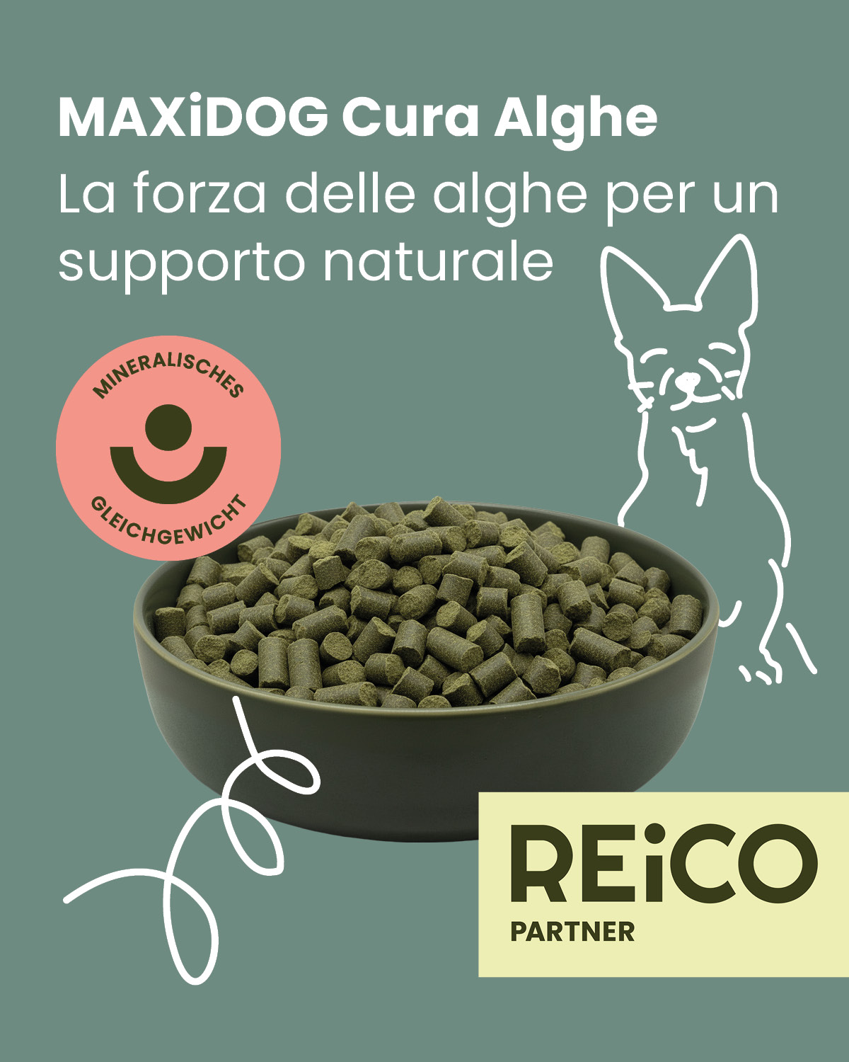 MAXiDOG Cura Alghe REiCO - Crocchette naturali alle alghe per cani sensibili