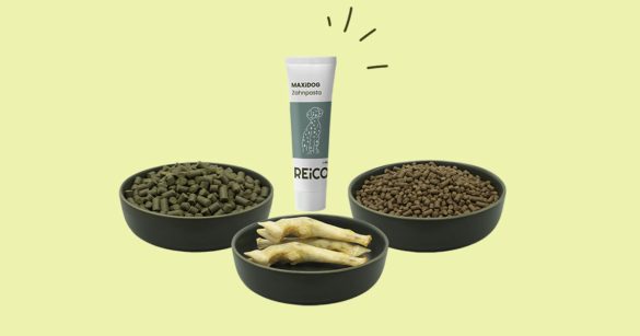 cibo naturale per cani: novità REiCO 2026