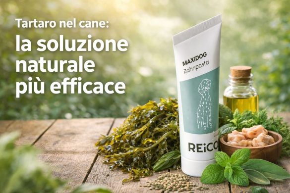 tartaro nel cane, rimedio naturale